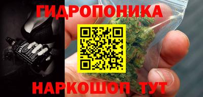 Альфа ПВП Нальчик