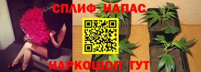 Альфа ПВП Нальчик