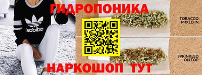 Альфа ПВП Нальчик