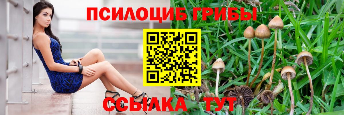 Галлюциногенные грибы мухоморы Ханты-Мансийск